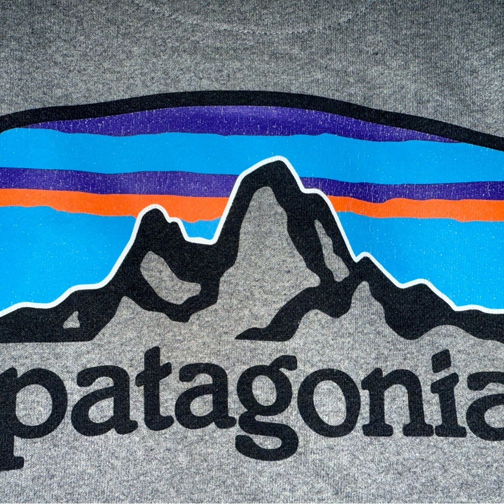 Patagonia Gray Sweatshirt